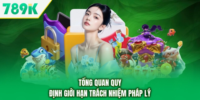 Tổng quan quy định giới hạn trách nhiệm pháp lý